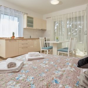 Apartment-Nika-Studio-with-balcony (22)